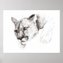Buscar león blanco negro posters Fauna