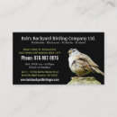 Buscar birdwatching oficina escuela Birdwatcher