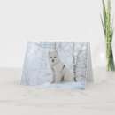 Buscar samoyedo tarjetas Animal