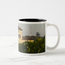 Buscar techo tazas Paisaje