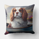 Buscar remo cojines Viajar