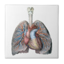 Buscar enfermera azulejos Salud