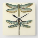 Buscar libélulas relojes de pared Insectos