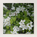 Buscar búfalo blanco puzzles Naturaleza
