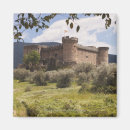 Buscar siglo xv imanes Castillo