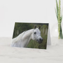 Buscar cabeza de caballo tarjetas Árabe