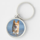 Buscar galés llaveros Costa