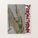 Buscar fósiles puzzles Dinosaurio