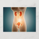 Buscar cuerpo humano postales Personas