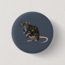 Buscar rata chapas Animal