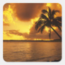 Buscar palmeras de hawaii pegatinas Mar