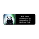 Buscar pandas etiquetas General y unisex