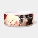 Buscar china mascotas Para todos