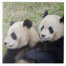 Buscar oso panda azulejos China