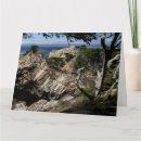 Buscar monterey tarjetas Naturaleza