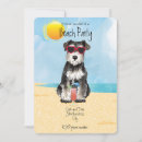 Buscar mini schnauzer Schnauzer en miniatura