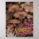 Buscar taburete posters Bosque