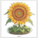Buscar girasoles pegatinas Para todos