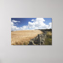 Buscar alambre lienzos Rural