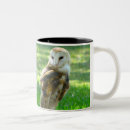 Buscar dos búhos tazas Naturaleza