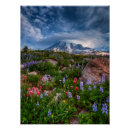 Buscar coronado de nieve posters Imagen del color