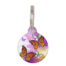 Buscar monarca collares Verano