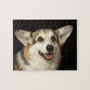 Buscar perro blanco negro puzzles Naturaleza