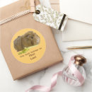 Buscar apio postales Vegetariano