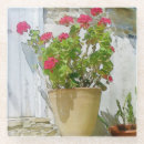 Buscar geranio rojo posavasos Acuarela