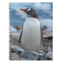 Buscar antártico cuadernos Península antártica