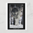 Buscar envase postales Animales