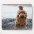 Buscar canina alfombrillas de raton Animal