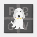 Buscar griffon imanes Pbgv