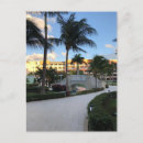 Buscar montego bay Jamaica