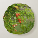 Buscar granada cojines Naranja