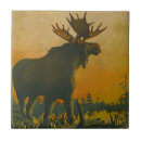 Buscar burros azulejos Fauna