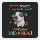 Buscar russel pegatinas Jack russell