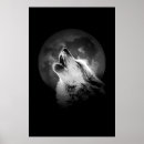 Buscar lobo indio posters Para todos