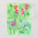 Buscar flores pintadas postales General y unisex