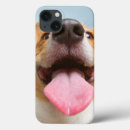 Buscar perritos ipad fundas Imágenes getty