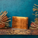 Buscar georgia placas fotograbadas George smith state park