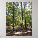 Buscar acres posters Bosque