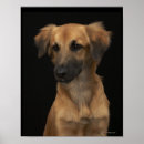 Buscar nariz de perro posters Fotografía