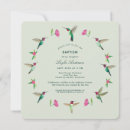 Buscar colibríes invitaciones Pájaro