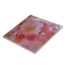 Buscar flor de cerezo azulejos Flores rosadas