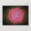 Buscar esferas abstractas postales Microbiología