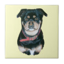 Buscar imágenes del perro azulejos General y unisex