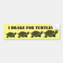 Buscar tortugas pegatinas parachoque Lento