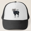 Buscar de la cabra gorras 6 º oveja