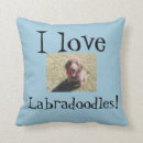 Buscar amo mi labradoodle Para todos